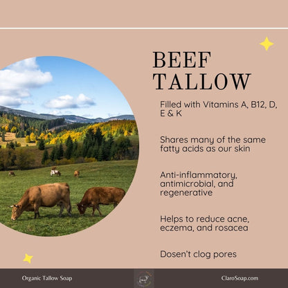 Informational graphic about beef tallow benefits, with an image of cows grazing in a scenic, mountainous landscape. Text highlights tallow's vitamins (A, B12, D, E & K), its similarity to our skin's fatty acids, anti-inflammatory, antimicrobial, and regenerative properties, and its potential to help with acne, eczema, and rosacea without clogging pores. Branding at the bottom reads 'Organic Tallow Soap' and 'ClaroSoap.com.